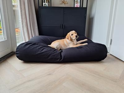 Dog's Companion® Hondenbed zwart superlarge