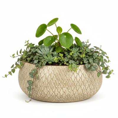 Mica decorations Bloempot / plantenpot schaal Madeira - creme - terracotta - 27 cm - schubbenpatroon