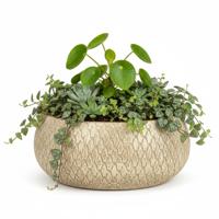 Mica decorations Bloempot / plantenpot schaal Madeira - creme - terracotta - 27 cm - schubbenpatroon