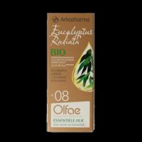 Olfae Eucalyptus radiata 08 bio 10 Milliliter