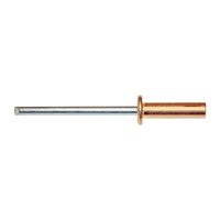 pgb-Europe PGB-FASTENERS | Blindklinknagel DIN 7337A Ø 4,80x20 Cu/St | 250 st 07337AR07004800203