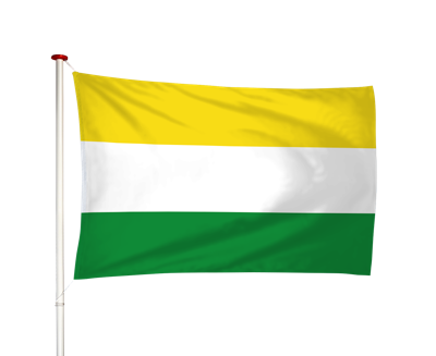 Vlag Wijhe
