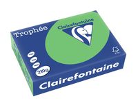 Clairefontaine Trophée Intens, gekleurd papier, A4, 210 g, 250 vel, grasgroen - thumbnail