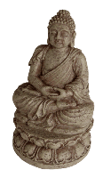 Superfish zen deco buddha - Superfish