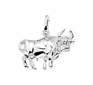 Hanger Sterrenbeeld zilver