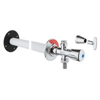 GROHE Eggemann vorstvrije gevelkraan 1/2 verstelbaar 17 50cm chroom 41208000