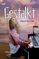 Gestalkt - Albert ten Cate - ebook