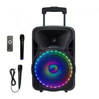 N-Gear The Flash 1205 draagbare 12 inch accu-speaker