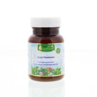 Maharishi Ayurv AyurImmuun MA 1000 (30 gr)