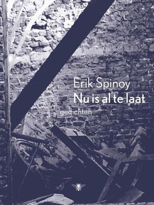 Nu is al te laat - Erik Spinoy - ebook