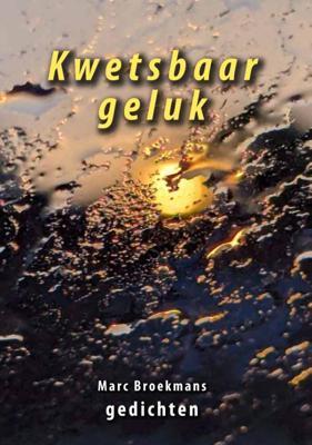 Kwetsbaar geluk (Paperback)