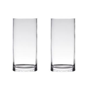 Set van 2x stuks transparante home-basics cylinder vorm vaas/vazen van glas 40 x 12 cm