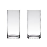 Set van 2x stuks transparante home-basics cylinder vorm vaas/vazen van glas 40 x 12 cm