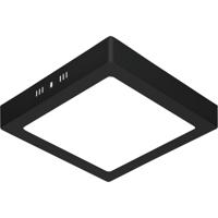 LED Paneel 30x30cm 28W Koud Wit 6400K Mat Zwart Aluminium
