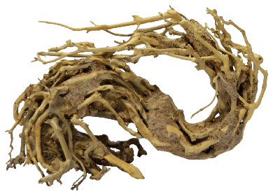Bonsai Wave Small aquaria - Superfish