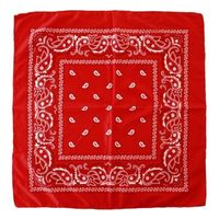 Voordelige rode boeren zakdoek 53 x 53 cm - thumbnail