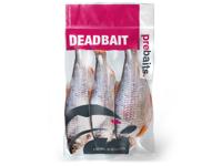 Prebaits voorn groot 450/550gr