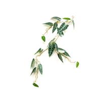Emerald - Alocasia vine 110 cm kunstplant - thumbnail