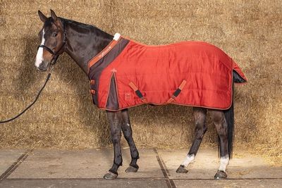 Harry's Horse Staldeken Highliner 200grams