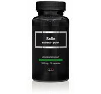 Apb Holland Salie extract puur 500mg