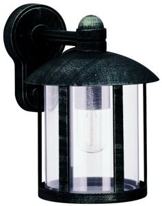 Albert Buitenlamp down Holli zwart-zilver 601835