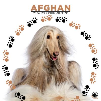Afghaanse Windhond Kalender 2026