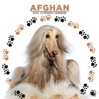 Afghaanse Windhond Kalender 2026