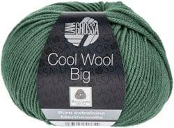 Lana Grossa Cool Wool Big 1004 Mosgroen