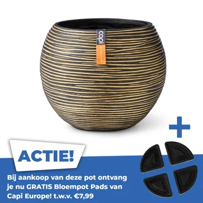 Vaas Bol Rib 29x26 Zwart Goud