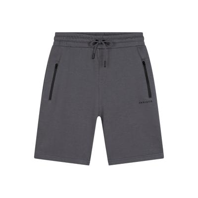 Shorts Scott 111 Stone Grey