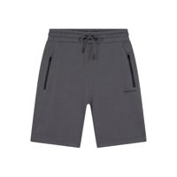 Shorts Scott 111 Stone Grey