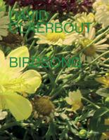 David Claerbout - Birdsong (Hardback)