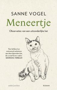 Meneertje (Paperback)