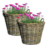 Mega Collections Planten of bloemen mand - 2x - D39 x H23 cm - rond - rotan gevlochten - bloempot
