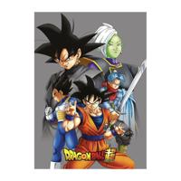 Deken New Import 100 x 140 cm - thumbnail