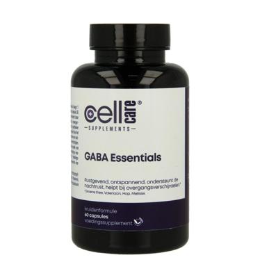 Gaba essentials