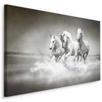 Schilderij - Wilde paarden in zwart-wit, 4 maten, premium print - thumbnail