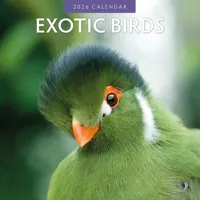 Exotic Birds Kalender 2026