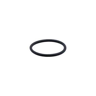 ifm Electronic E30123 O-ring E30123 1 stuk(s)