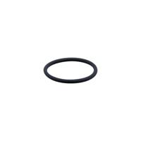 ifm Electronic E30123 O-ring E30123 1 stuk(s)
