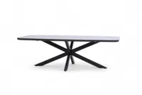 Trestino dining tuintafel valence 240x110x74cm antraciet