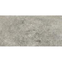 Florim Artifact 760629 Vloertegel 300X600 Grey 9Mm Mat Ret.R10