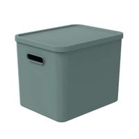 Rotho ALBULA Multibox 29.5x29x37 cm 27L Mistletoe Groen