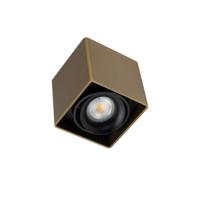 Bjorn 1 Opbouwspot Brons