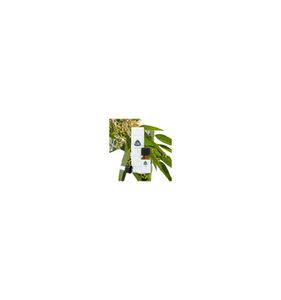Eucalyptus citroen etherische olie