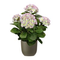 Hortensia kunstplant/kunstbloemen 45 cm - paars/groen - in pot olijfgroen mat