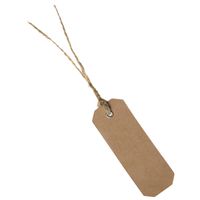 Cadeaulabels kraft met touw - set 12x stuks - bruin/naturel - 3 x 8 cm - naam tags   -