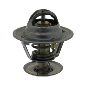 Thermostaat 18981