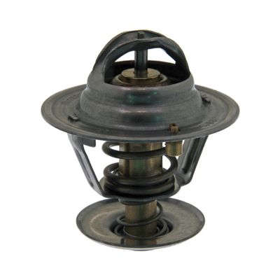 Thermostaat 18981