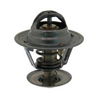 Thermostaat 18981 Thermostaat 18981